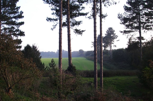 The reported landing site, Rendlesham Forest